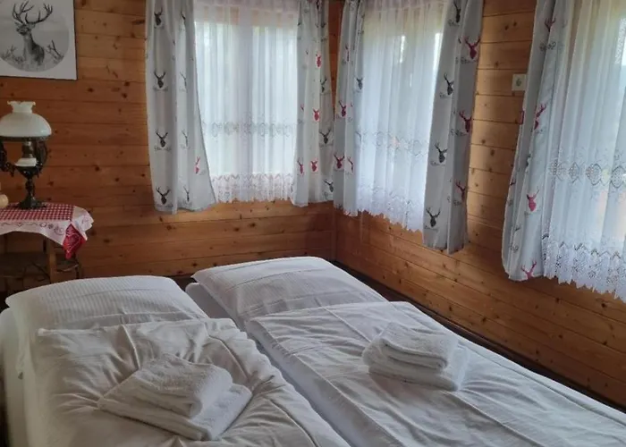 Отель Anke