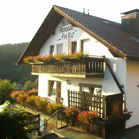 Hotel Anke 3*